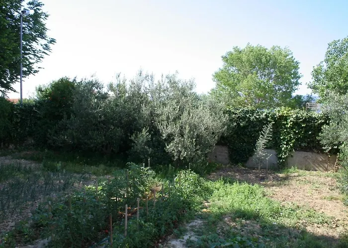 2746b Duće